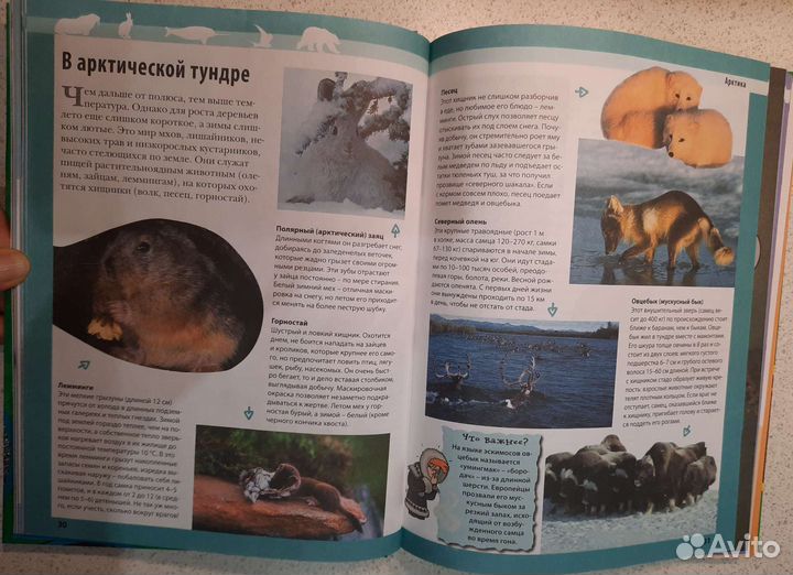 Энциклопедия Животные планеты