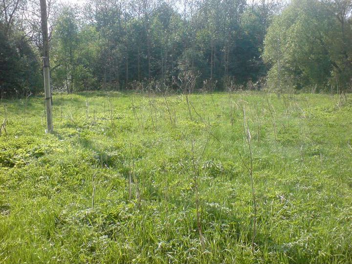 Участок 26 сот. (СНТ, ДНП)