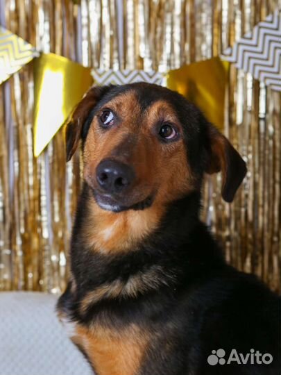 Кенай-робкий,но очень нежный