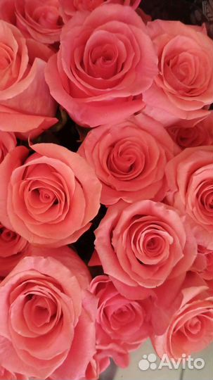 Цветы оптом