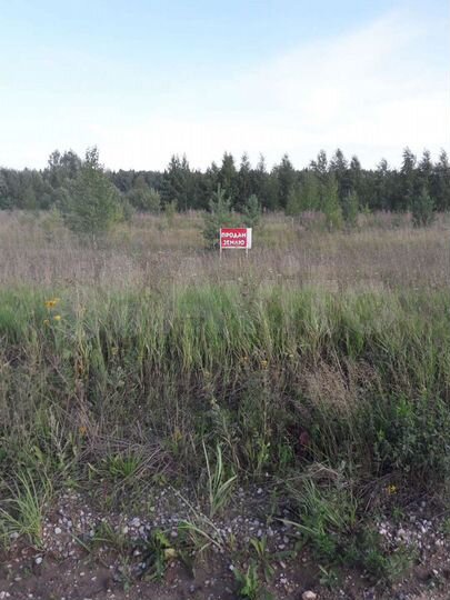 Участок 19 сот. (СНТ, ДНП)