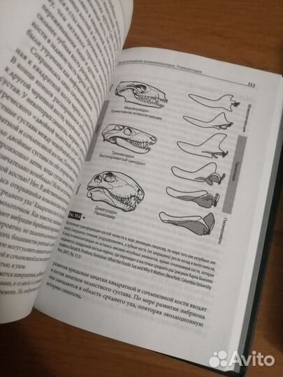 Книги о доисторической жизни