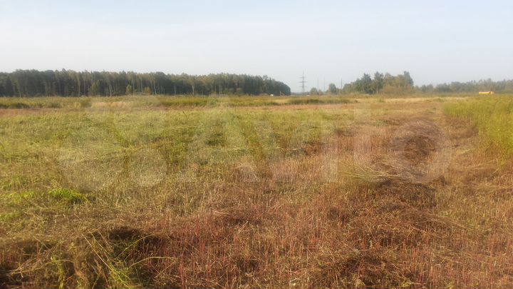 Участок 2,38 га (СНТ, ДНП)