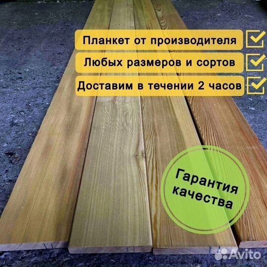 Планкен прямой лиственница