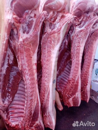 Мясо свинина полутуши