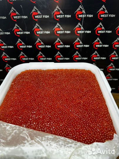 Красная Икра 2023г оптом без посредников