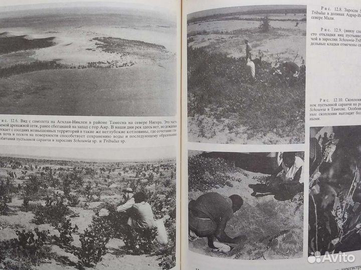 Альбомы о странах