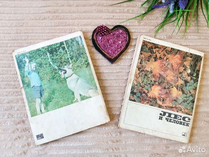 Ежегодник Лес и человек 1975 г 1976 г