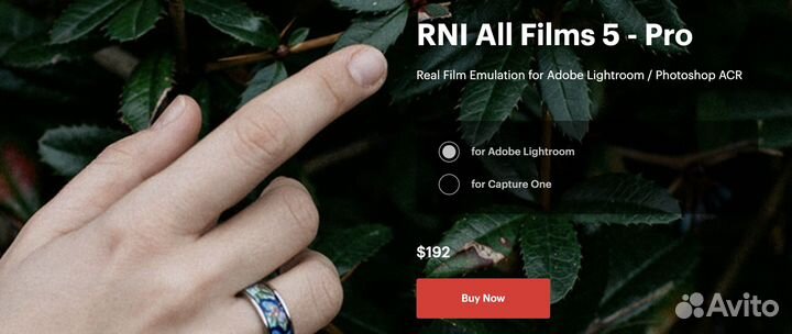 Пресеты RNI All Films 5 - Pro для Lightroom Photos