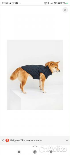 Жилетка для собак мелких и средних пород