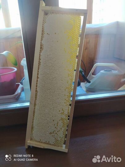 Мед в сотах. Рамка меда в сотах. Мед Сотовый