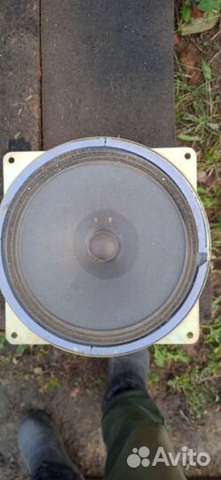 Динамик СССР