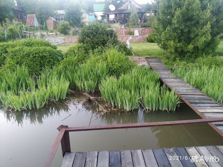 Сдам в аренду беседку на берегу пруда с красивым