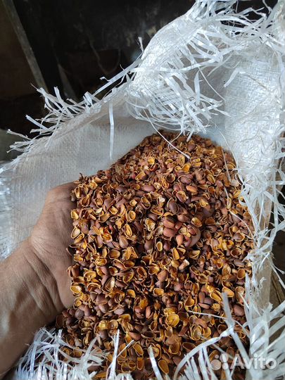 Скорлупа кедрового ореха в мешках (60 литров)