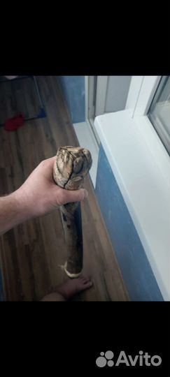 Бивень мамонта