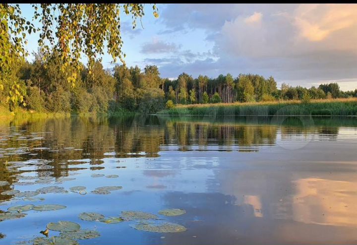 Участок 17 сот. (СНТ, ДНП)