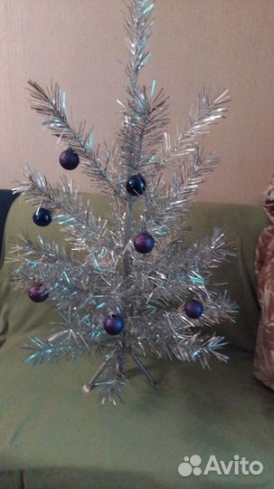 Ель серебристая СССР