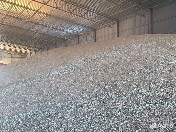 Семенная пшеница 12 р