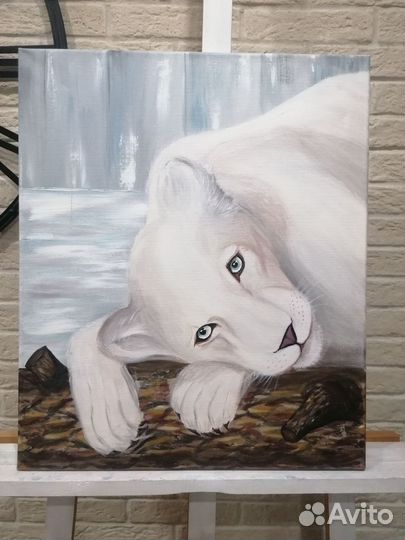 Много картин