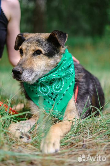 Утончённая красотка Шанель ждёт свою семью