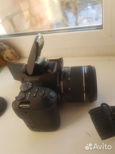 Зеркальный фотоаппарат canon EOS 250D Kit 18-55mm