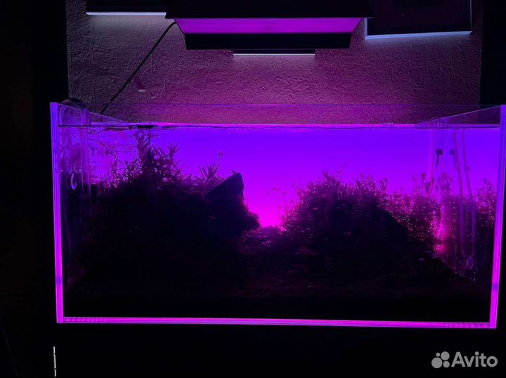 Задний фон для аквариума. Панель с подсветкой