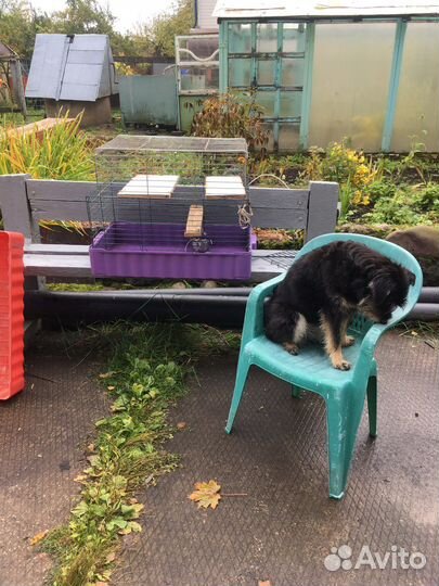 Клетка большая