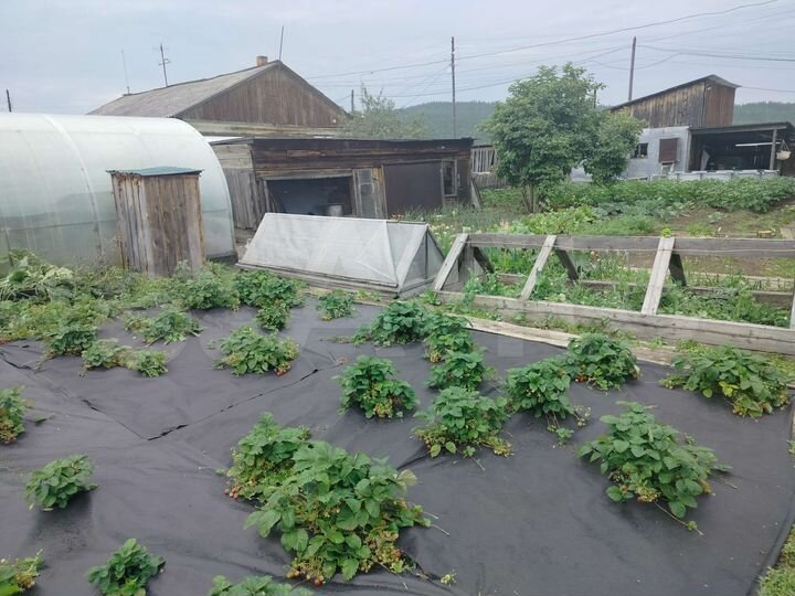 Дом 70 м² на участке 14 сот.