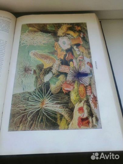 Жизнь животных книга 1948г. А. Э. Брем