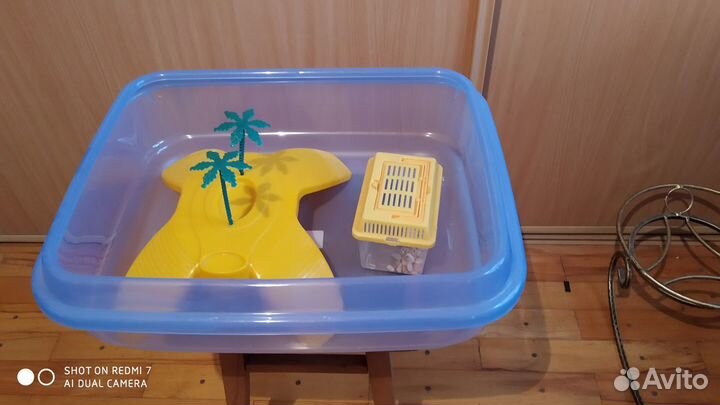 Акватеррариум для маленькой красноухой черепашки