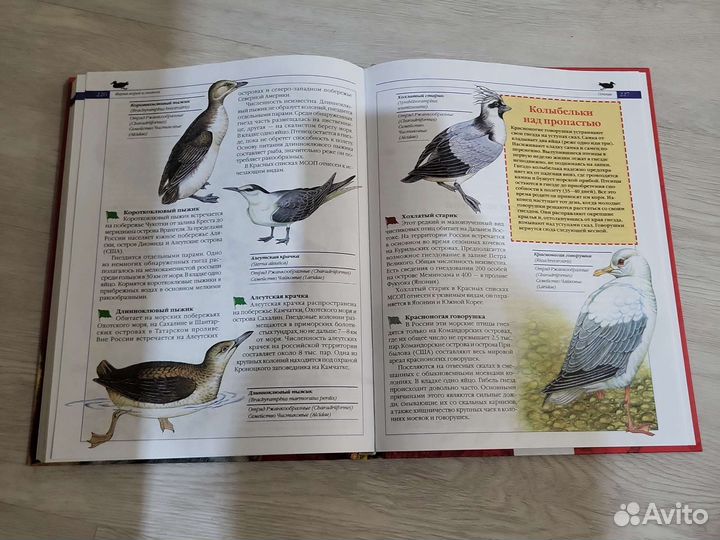 Красная книга животные России