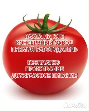 Вахта без опыта на юге проживание питание муж/жен