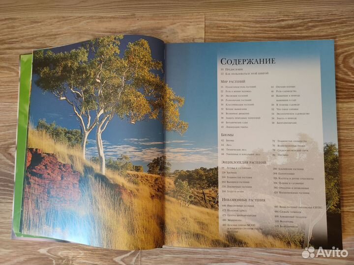 Потрясающей красоты энциклопедиия о растениях
