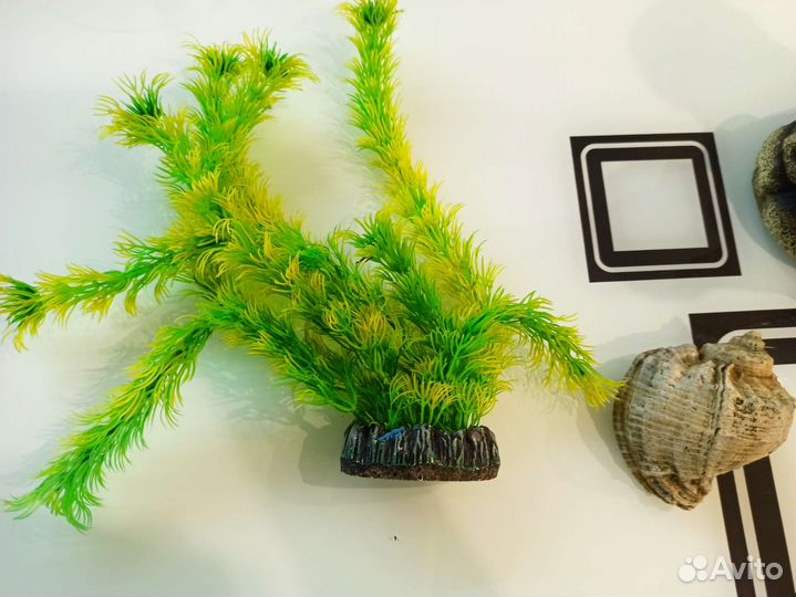 Для аквариума