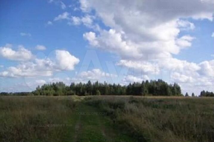 Участок 25 сот. (СНТ, ДНП)