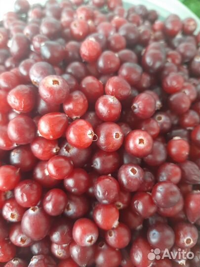 Ягоды и варенье