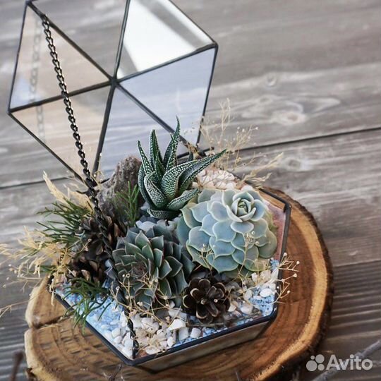 Флорариум с суккулентами своими руками