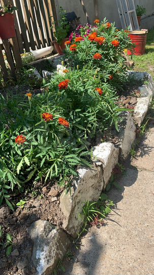 Дом 56,7 м² на участке 16 сот.