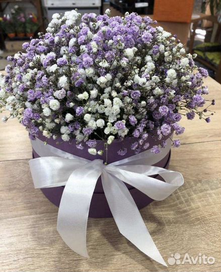 Гипсофилы с доставкой. Свежие букеты цветов