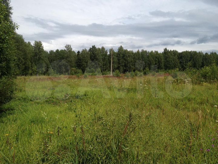 Участок 14 га (СНТ, ДНП)