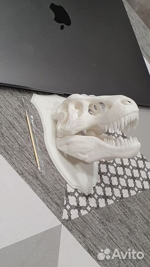 Череп динозавра (T-Rex)