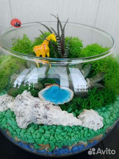 Флорариум 