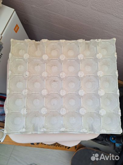 Упаковка для яйц