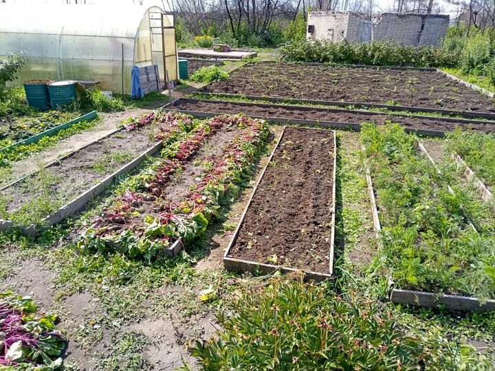 Участок 6 сот. (СНТ, ДНП)