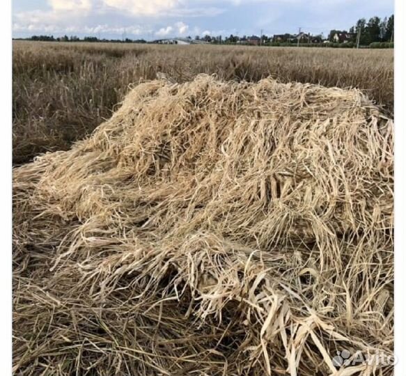 Маскировка полотно рафия ср3015-NW1 North Way