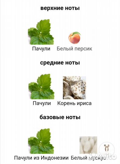 Splendida Patchouli Tentation Bvlgari 100 мл