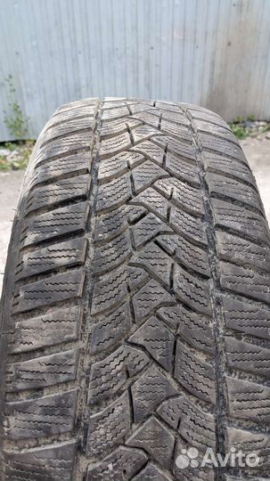 Dunlop Winter Sport 5 205/60 R16