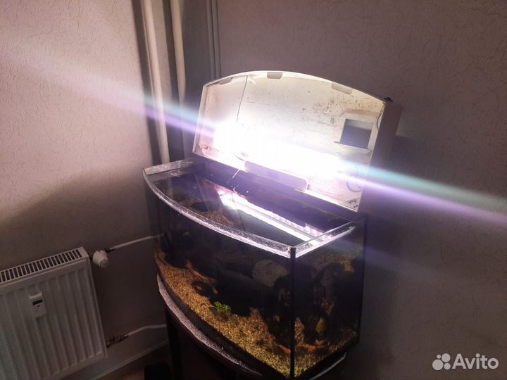 Аквариум с тумбой 100 литров