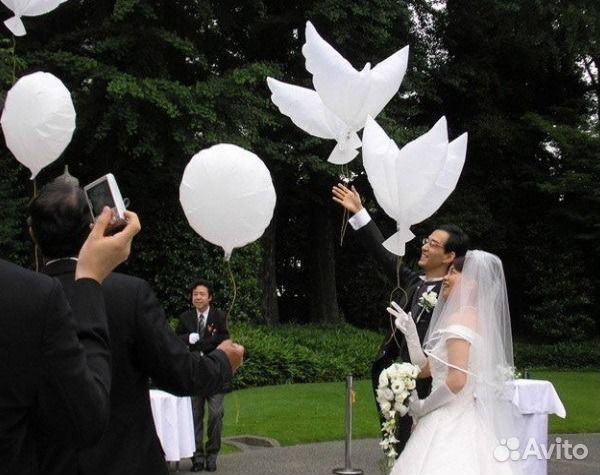 Голуби, биоголуби