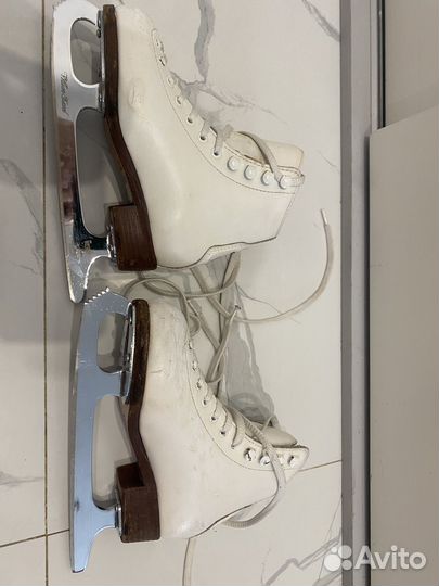 Профессиональные коньки Wifa 29 LL